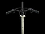 Trek Verve 1 Disc Lowstep 2021