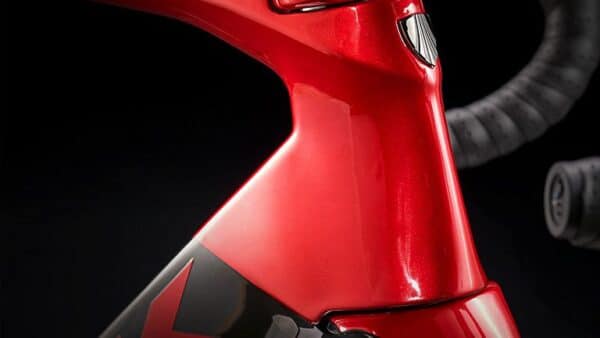 Madone_Feature (1)