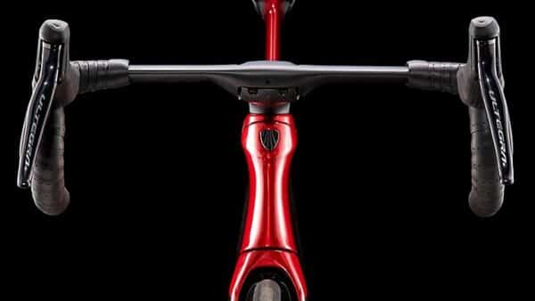 Madone_Feature (2)