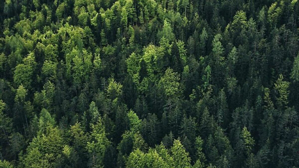 Trek Apparel - Sustainability