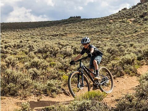 Sized for every rider