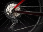 Procaliber 9.8 2023 (1)