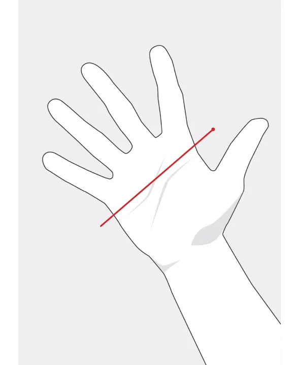 Gloves Fit Size